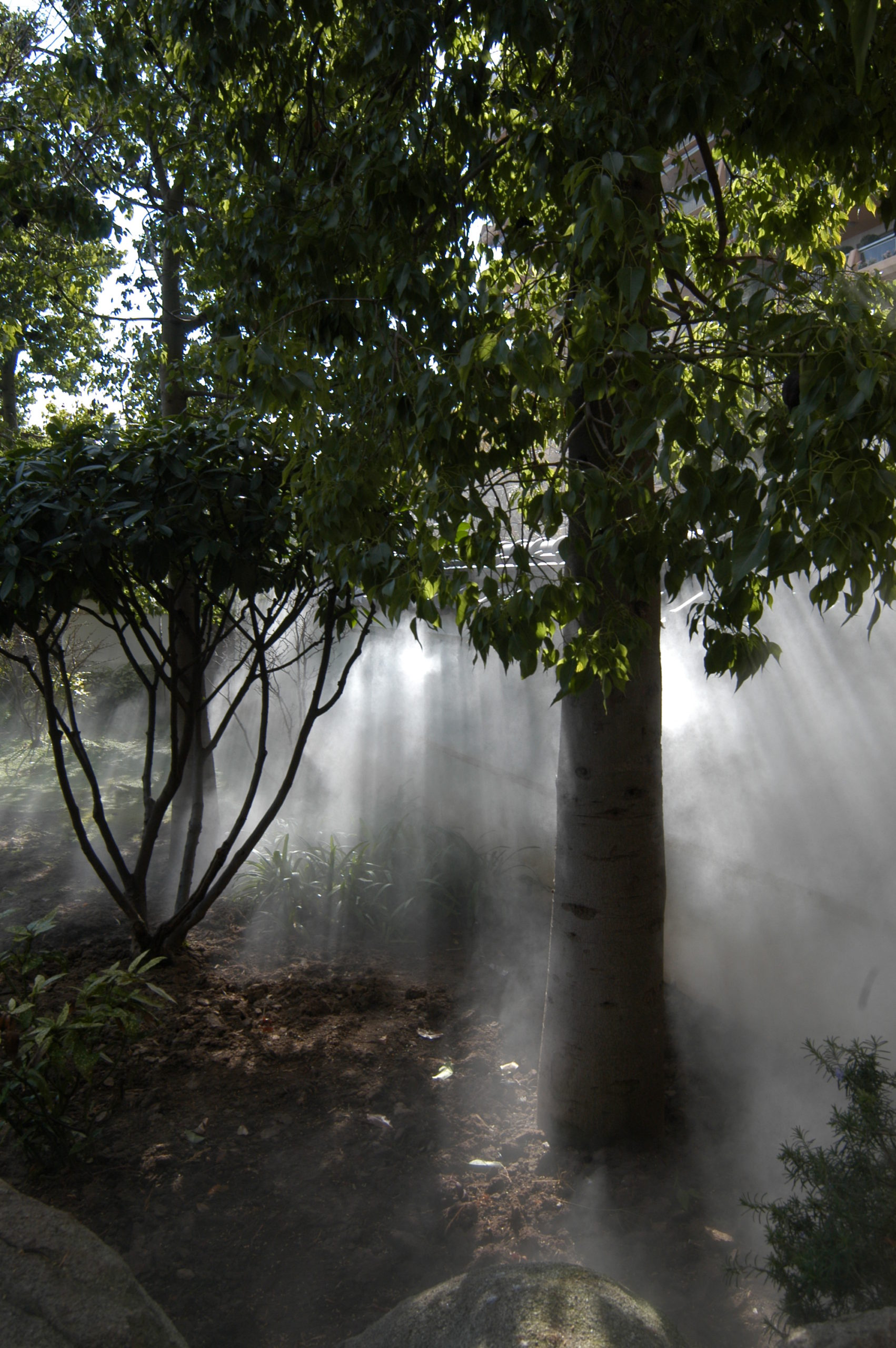 jardin_japonais_03